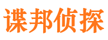 阳江市侦探调查公司